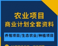 农村现代农业项目生态养殖种殖项目/观光园建设规划设计